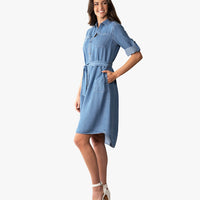 Perfect Shirt Dress (*)